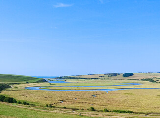 field of wheat