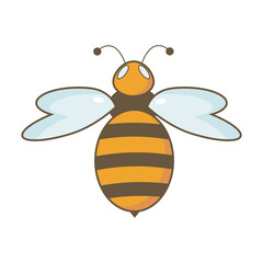 A single orange bee on a white background
