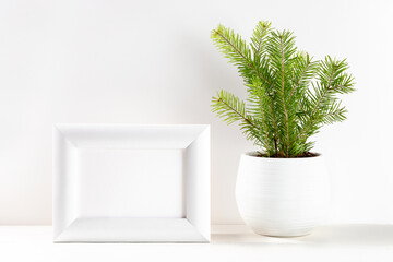 Christmas minimal image with small Xmas tree in flowerpot and white frame on white. Copy space.