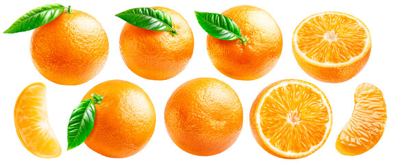 Set of bright ripe oranges - whole and sliced, as well as a segment with and without peel, isolated...
