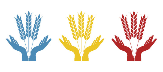 Fototapeta premium image of hands and ears of wheat, symbol of fertility, vector illustration