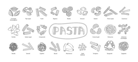 Types of Italian pasta. Vector food sketch bundle. Macaroni illustration set. Rigatoni, fusilli and garganelli. Noodle, stelle, conchiglie and spaghetti. Farfalle, tortiglioni and penne rigate - obrazy, fototapety, plakaty