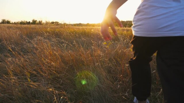 Follow to cute little child jogging through grass field with sunset at background. Happy girl running among meadow and enjoying freedom at nature. Carefree kid having fun at countryside. Rear view