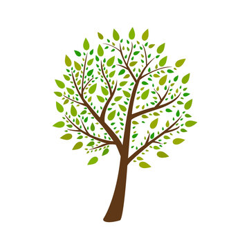 image of a tree on a white background, vector illustration