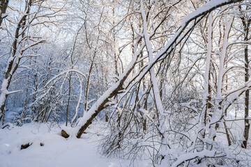 Mankinjoki rapids area in winter, Espoonkartano, Espoo, Finland