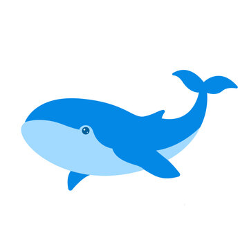 Cute Blue whale Flat vector logo icon Illustration design Whales Clipart