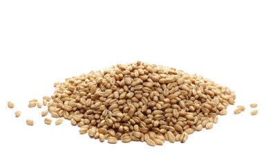 Wheat kernels, grains pile isolated on white background, side view 