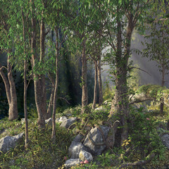 3d render of a deep foliage forest lit with sunbeams