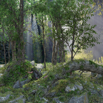 3d render of a deep foliage forest lit with sunbeams
