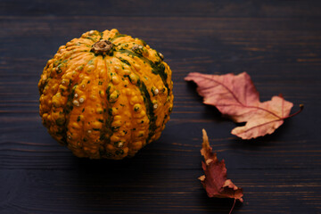 Decorative yellow pumpkin on a wooden black background of boards, close-up