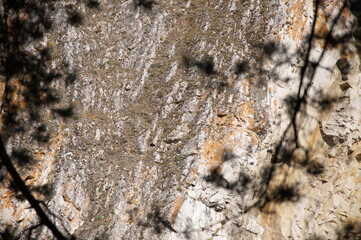 Brown natural background of the rock surface with dark shadows from tree branches.