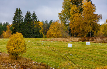 Autumn landscape in the Republic of Karelia.