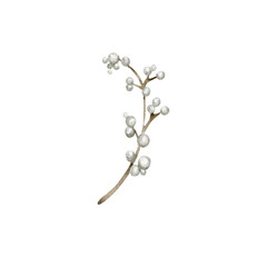 Watercolor winter white berries branch clip art