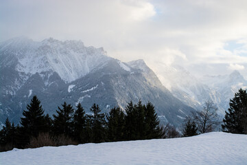 Fototapeta na wymiar Landschaft / Winter