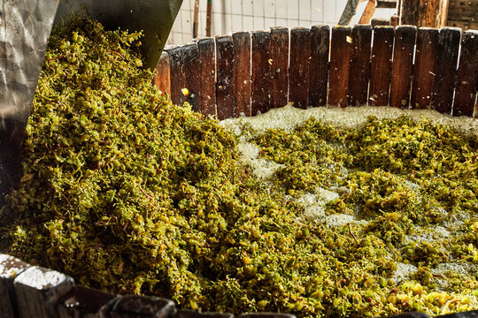 Grapes falling into a wooden barrel