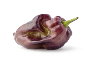purple habanero chili pepper, isolated on white background, closeup macro
