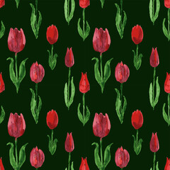 Seamless pattern from watercolor drawings of blooming red tulips