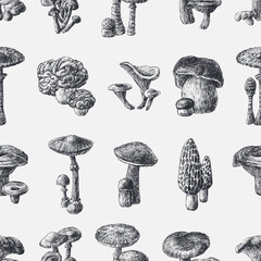 Seamless pattern of set various textured drawings edible and poisonous mushrooms