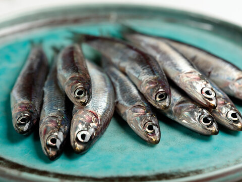 Cetara anchovies