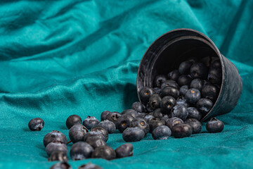 blueberries in a bucket on a dark green background