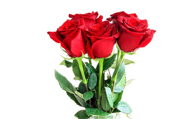 Festive fresh bouquet of red roses for a gift on Valentine's Day, wedding, birthday and other events. 