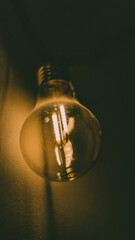 dusty light bulb hanging on a wall