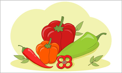 Set of peppers. Collection of vegetables. Fresh and natural ingredients for vegetarian cooking. Graphic elements for grocery store. Cartoon flat vector illustration isolated on white background