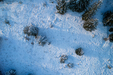 Aerial view of coniferous forest covered with shiny snow in the middle of winter. Top view on snow-covered old spruce forest.