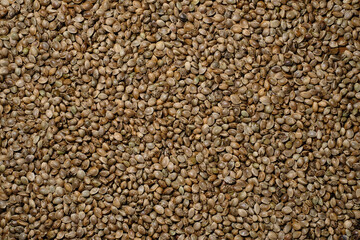 Hemp seeds background. Cannabis seeds close-up. Edible marijuana production.