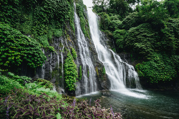 waterfall on island in the rainforest