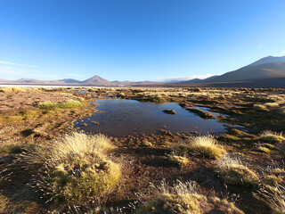 A pond in the stone desert of Bolivia near the city of Uyuni. Eduardo Avaroa Andean Fauna National Reserve