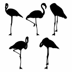 Flamingo silhouette set. Bird in five different postures. Vector illustration. - obrazy, fototapety, plakaty