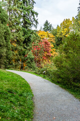 Fototapeta na wymiar Washington Park Arboretum Autumn Path 6