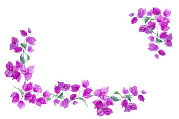 Fototapeta na wymiar Corner frame of exotic purple bougainvillea flower. Isolated on white background. Hand drawn watercolor. Copy space.