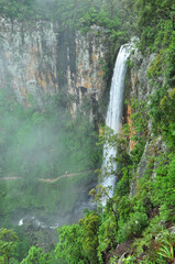 Waterfall Springbrook