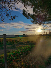 Arbres et rivi&egrave;re en Automne
