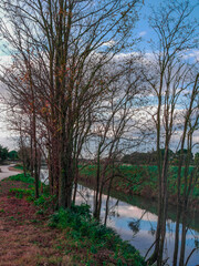 Arbres et rivière en Automne