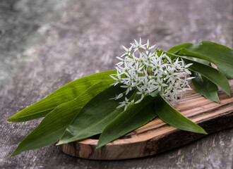 Wildes Knoblauch / Bärlauch / Allium ursinum mit Blüten in Nahaufnahme
