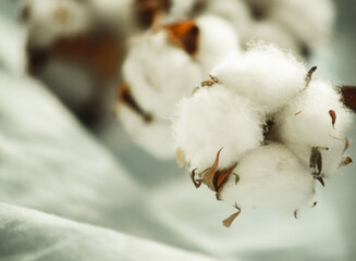 a branch of cotton on a fabric close-up