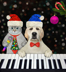 An ashen cat and dog labrador play the piano and sing Christmas songs in a nightclub.