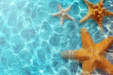 Fototapeta na wymiar Starfish on the summer beach in sea water. Summer background.
