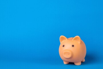 Pink piggy bank isolated on blue background. Money saving and deposit concept