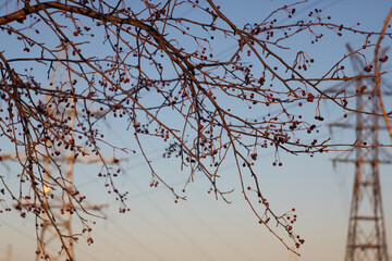 Декабрь в Нижней Туре, 2021 год. Свердловская область. 