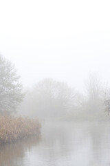 River in autumn fog
