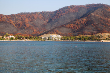 İçmeler region after days of forest fires. Beach, sea, beach burned and unburned trees side by side.