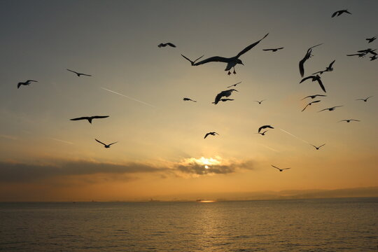 sunset in the sea © Aya