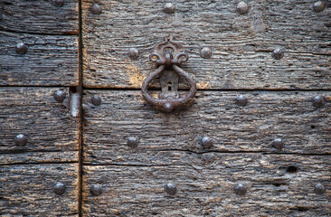 texture of bark wood used as natural background