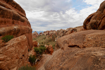 Fototapeta premium Spectacular sandstone formations in Needles District in Canyonlands National Park, Utah, USA.