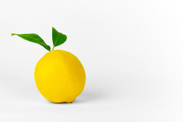Lemons with leaves. Lemon fruit, citrus minimal concept, vitamin C.