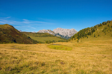 The Laghi di Festons alpine meadow on Sella Festons near Sauris di Sopra, Udine Province,...